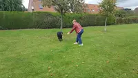 Entre Chien & Soi