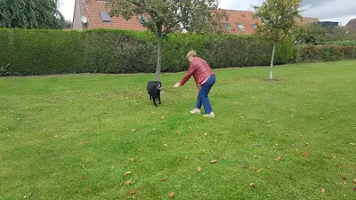 Entre Chien & Soi