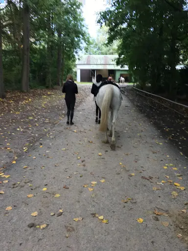 Roubaix Equitation