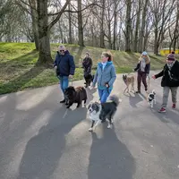 Yann Catteau Éducateur Comportementaliste Canin Rééducation