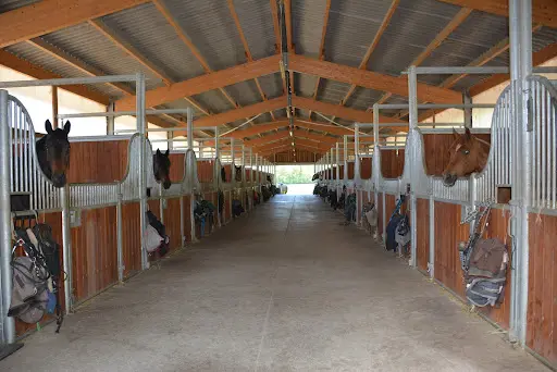 Ecole de Dressage du Grésivaudan
