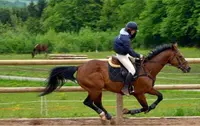 Relais Equestre de la Montnoirotte