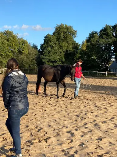 Ecuries les 2 Rives | Pension Chevaux | Centre d'Equicoaching