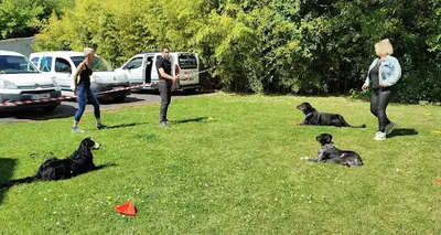 Educateur Canin Respectdogs le Neubourg