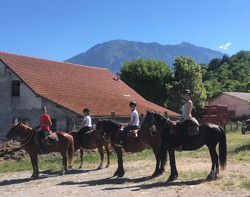 Aalpes Equitation