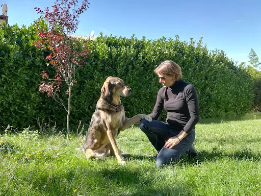 Rossi Nathalie - Education Canine et Comportementaliste 04 Provence Alpes Côte d'Azur