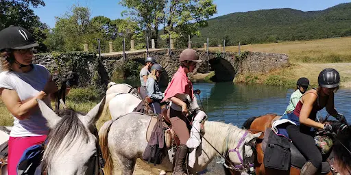 Cheval Cathare