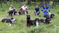 Club Canin Cac83 Cuers