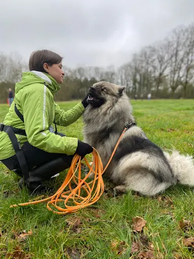 So Waf - Éducation Canine