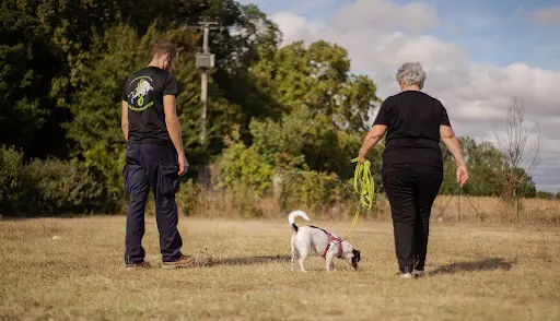 Ck9 - Éducateur Canin