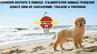 Ky Croq - Alimentation Animale & Accessoires Pour Chiens et Chats À Toulouse - Livraison Locale Gratuite