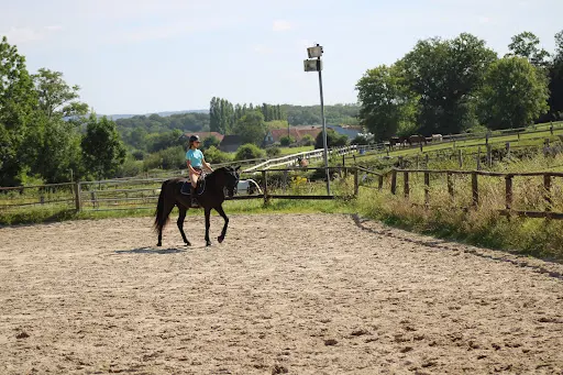 Écuries des Prés Louvet