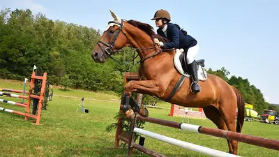 Ecole d'Equitation Prety Cuisery