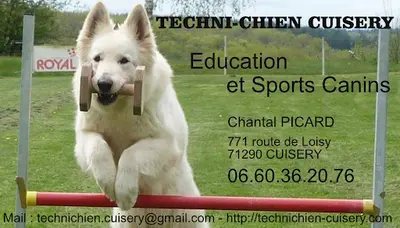 Techni-chien Cuisery