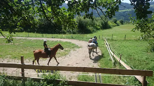 Lucky Ranch