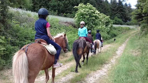 Gîte et Ferme Equestre les 2 Chouettes