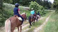 Gîte et Ferme Equestre les 2 Chouettes