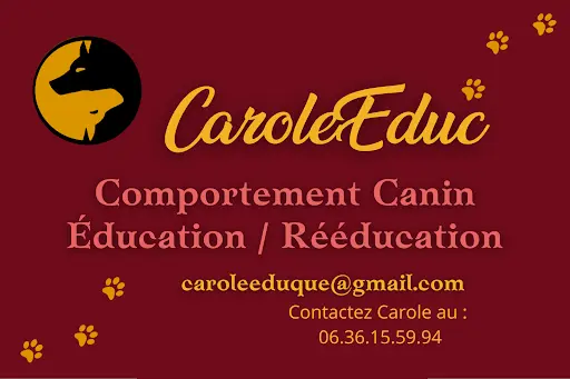 Caroleeduc-comportementaliste Canine/education et Rééducation Canine