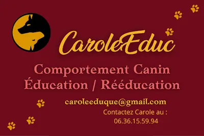 Caroleeduc-comportementaliste Canine/education et Rééducation Canine