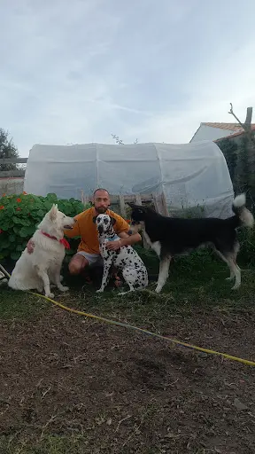 La Clef Éducateur Canin