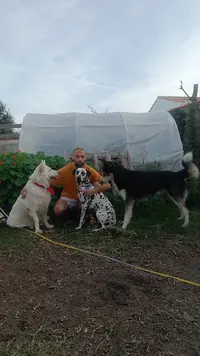La Clef Éducateur Canin