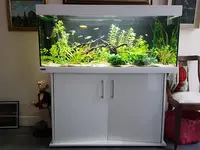 Greg Aqua Services