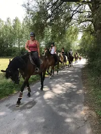 Ecuries Stéphanie Charlet