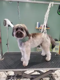 Pil Poils