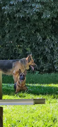 Educ2woof