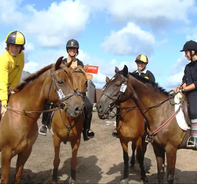 Poney Club Poney City