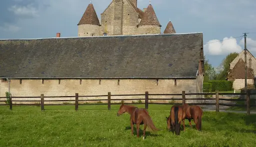 Haras de Beuvreuil