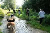 Au Fil du Chien