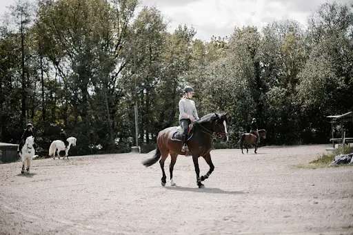 Poney Club de Villedieu