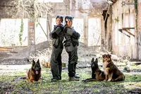 Vie de Chien