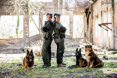 Vie de Chien