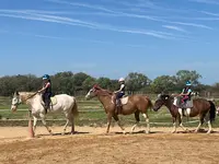 Haras du Turel