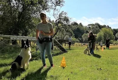 l'École des Chiots À Decazeville - Educateur Canin