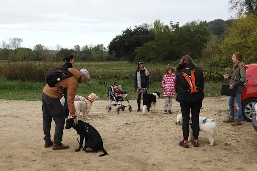 En Tête À Tête - Éducation et Comportement Canin - Méthode Douce
