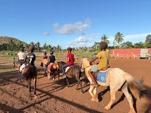 Parc Equestre et Loisirs d'Hajangua