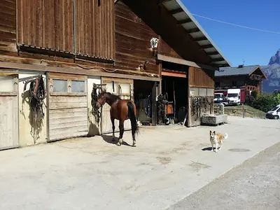 Le Cheval de Feug - Duvillard François & Florian