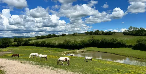 Écuries des Rendarts