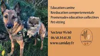 Cani Day - Educateur Comportementaliste Canin et Pension Canine Familiale