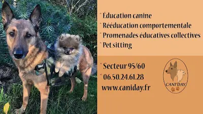 Cani Day - Educateur Comportementaliste Canin et Pension Canine Familiale