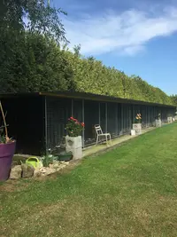 Pension Canine de Louxor