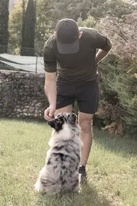 Abcdog. Education Canine