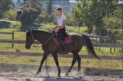 Écuries les Chevaux du Diois