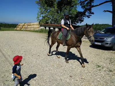 Poney Club des Bruyeres