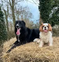 Eve Robert - Education Canine