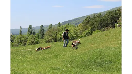 Grocq Jean Michel Domaine de la Chênairée