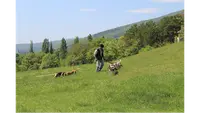 Grocq Jean Michel Domaine de la Chênairée